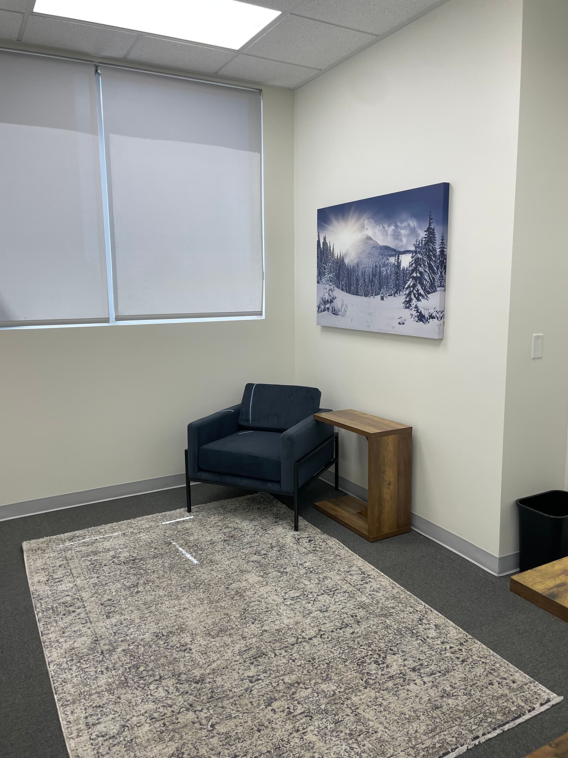 Gallery photos for Ampelis Health Clinic Improvement / Remodel: Image #32