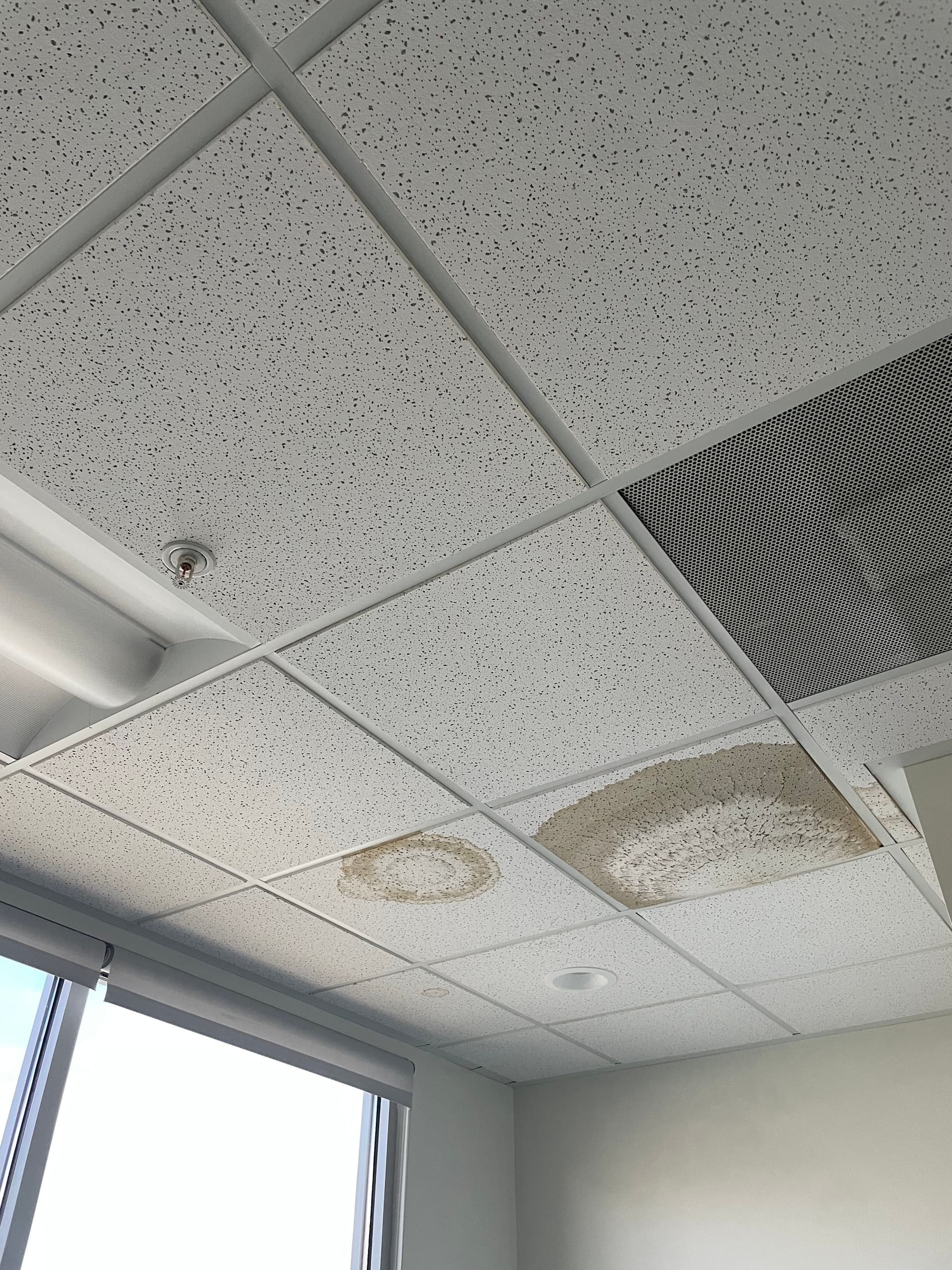 Gallery photos for Ampelis Health Clinic Improvement / Remodel: Image #18