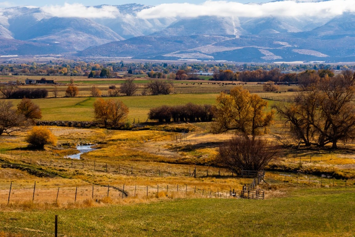 Commercial Construction in Pleasant View, UT