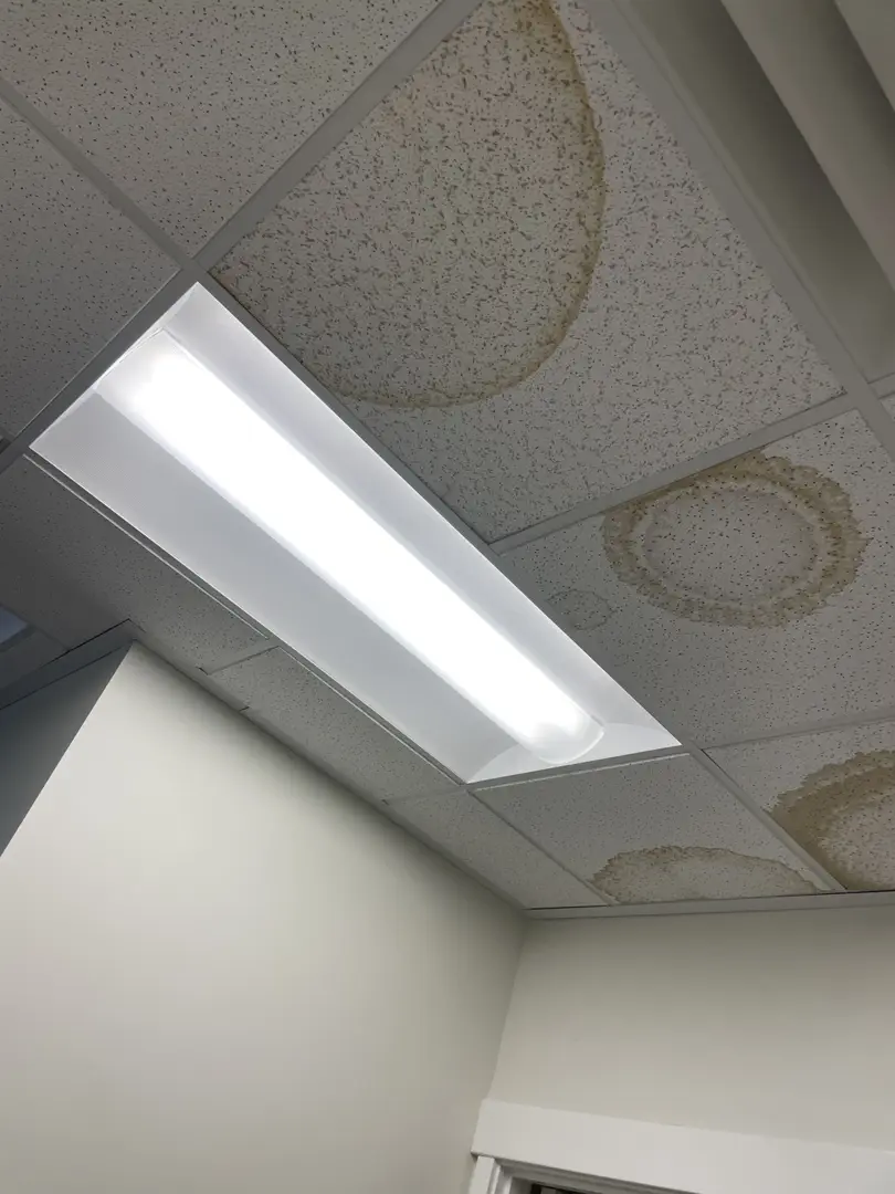 Ampelis Health - Medical Office Remodel in South Ogden, UT