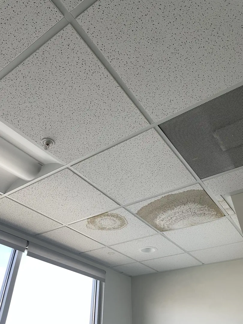 Ampelis Health - Medical Office Remodel in South Ogden, UT